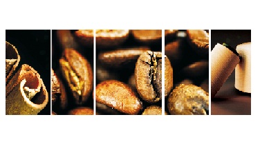 功能性系列--抑菌除臭系列(咖啡碳纤维)