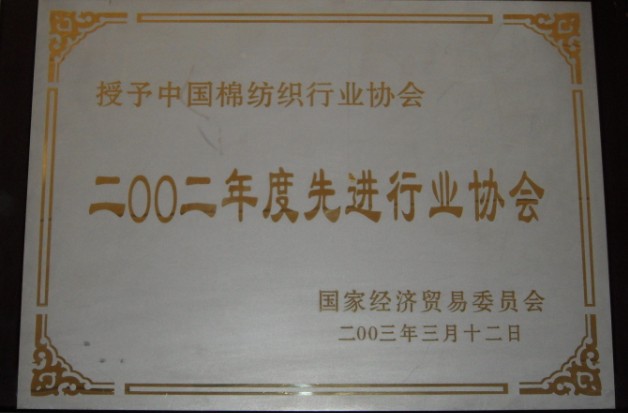 2003年 被国家经济贸易委员会授予“2002年度先进行业协会”